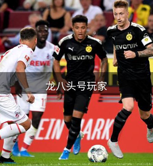 网站概况